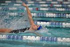 Swim vs Bentley  Wheaton College Swimming & Diving vs Bentley University. - Photo by Keith Nordstrom : Wheaton, Swimming & Diving